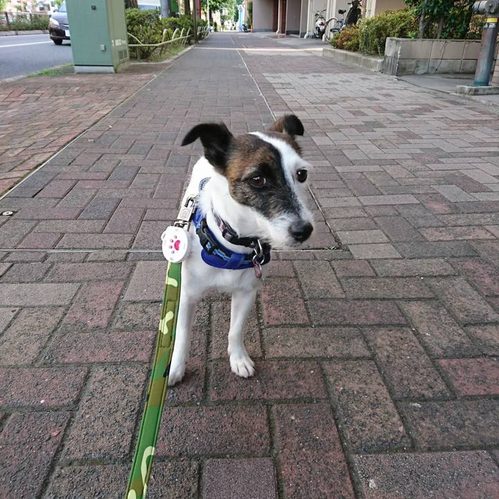 5c214e2b 0f33 4478 9788 68686591c578