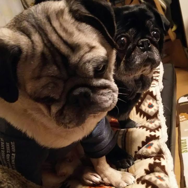 5c21edd0 8e58 4cbb a260 8c97f6f5a793