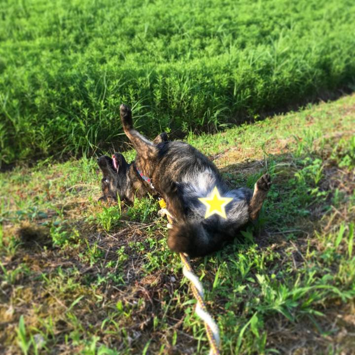 5c223f0f 8fd3 4bc5 be8f 91f26fa88b61