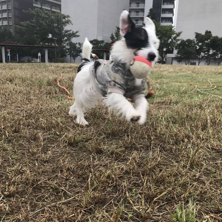 5c227b87 3308 4930 a947 ccfcc1bb0c7d