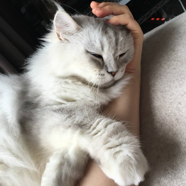 5c227c0d 4f3e 471b b30c d4ecea939bab