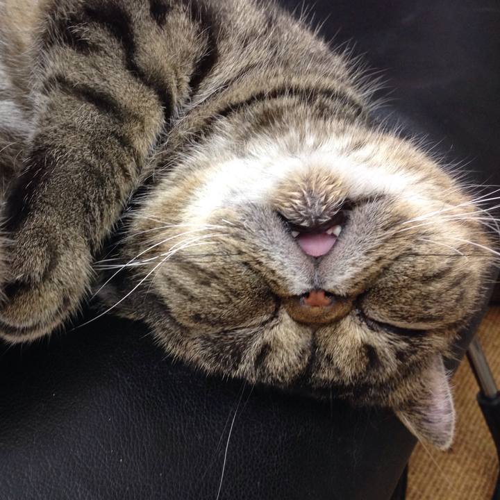 5c227ea8 f17a 471c a46e 21c58a28c49d