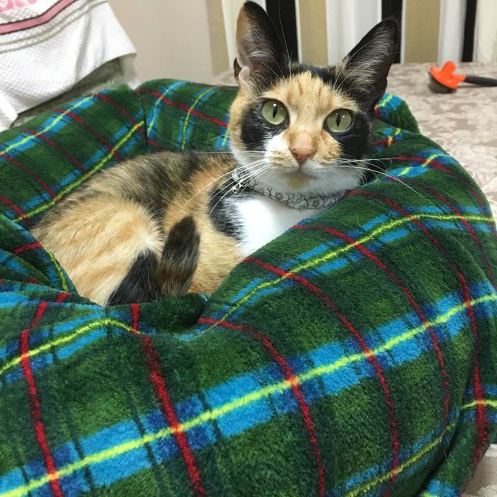 5c2285dc 4ae6 45d4 8be9 8c1d5ab194e3