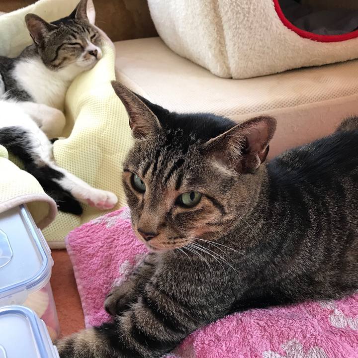 5c22f372 207b 4951 ac79 0013c336c41c