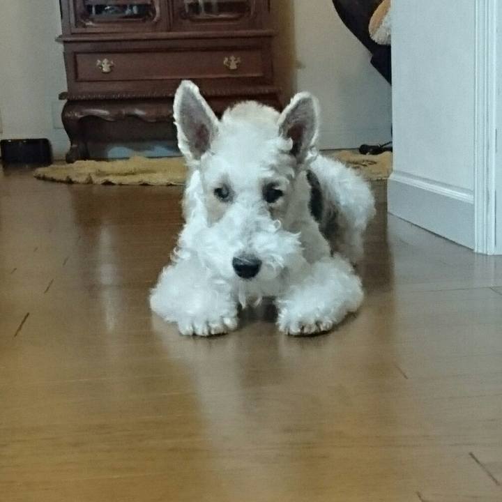 5c23a607 7e68 4a71 af9e 79501098df54