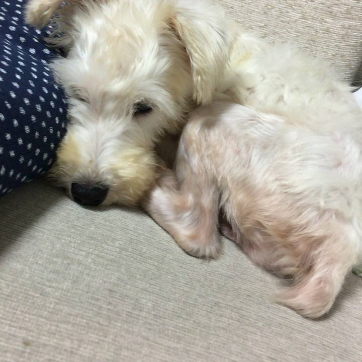 5c23b013 4f03 4f8b b996 4d6f1af2f252