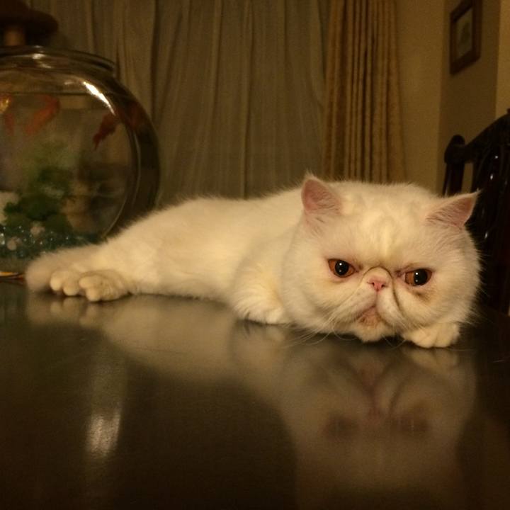 5c23e795 cfd7 40ba abd5 cc57f62f0c49