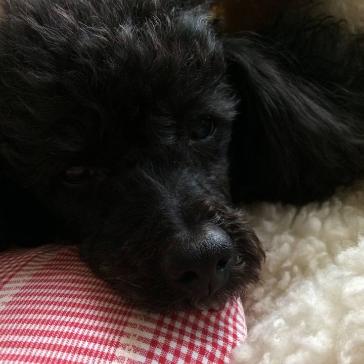 5c24aa19 72c1 40f0 97ed 68276ac90b59