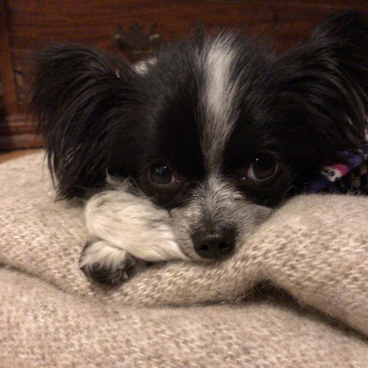 5c24b085 debd 4776 a12a 80c5dda57405