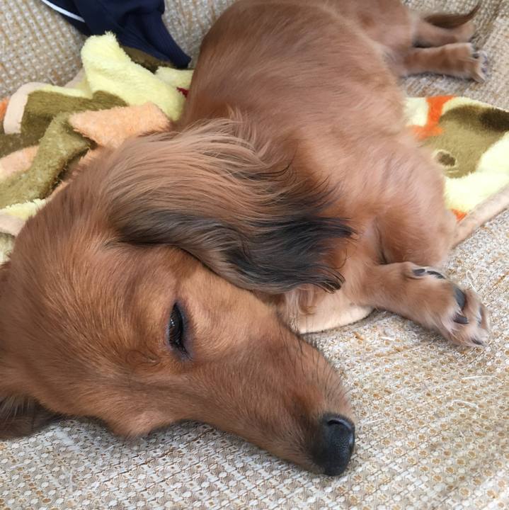 5c2682c9 5e1f 4d44 a753 1fee62b81e05