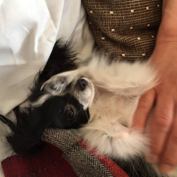 5c26ba8f 4c04 458d b999 53193acaf47c