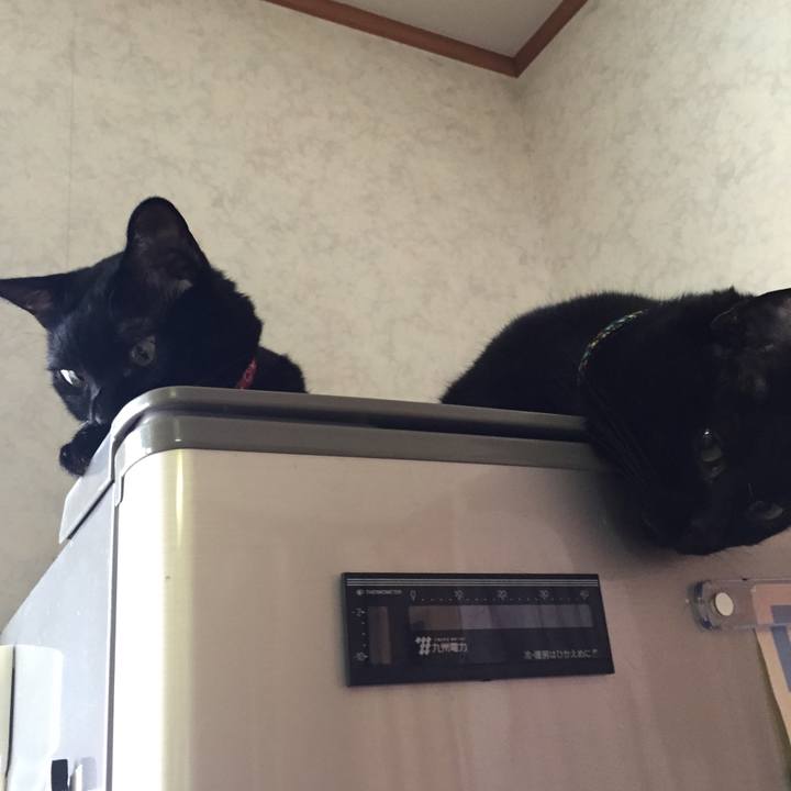 5c274a47 c791 4c84 9a40 2d3bfe682182