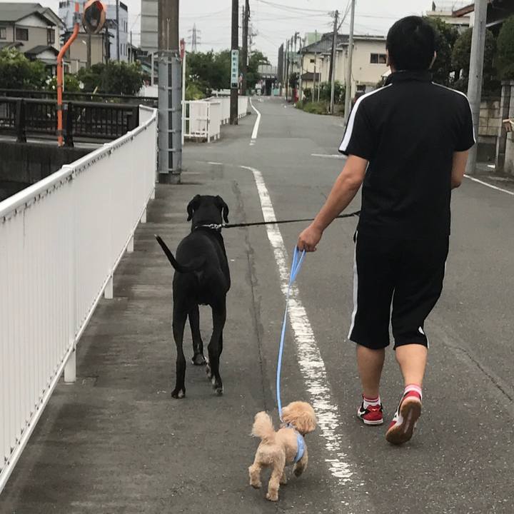 5c2777f3 0161 4d9e b95e e8913144657c