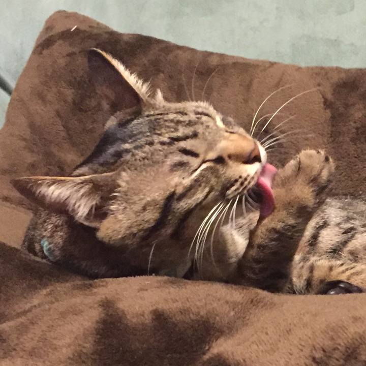 5c27c4b5 26d0 4926 818c 150fc7fffe03