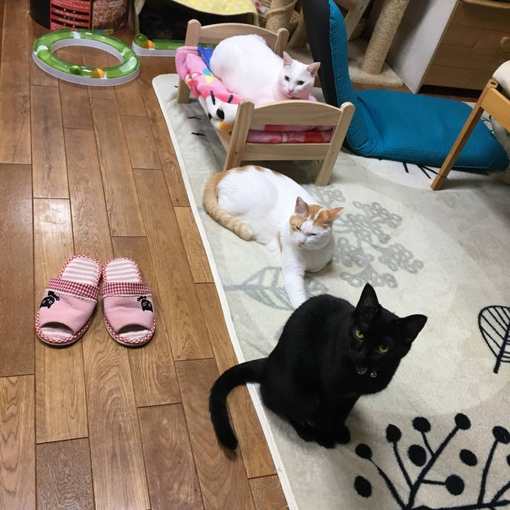 5c27eafd bbba 42f5 9e0a fec93c27f1b7