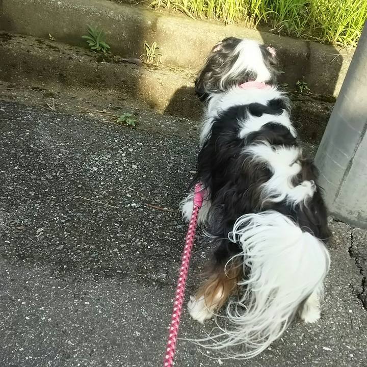 5c283450 0485 4627 b824 5261d0e70190