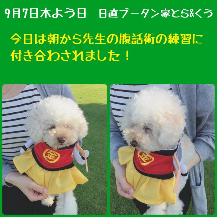 5c283987 fb85 4d27 a831 785a777ddd48