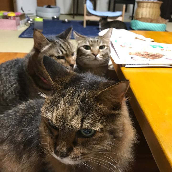 5c290ba2 f4fd 43b1 b6b9 f5a74c0a5878