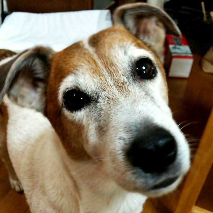 5c292b1c 4c39 456e 8489 7e1e3554c121