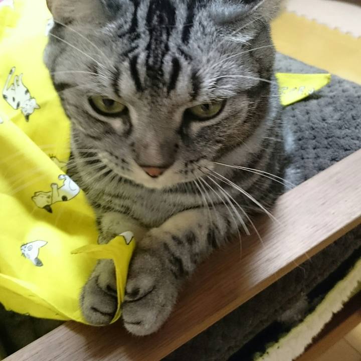 5c2a91f0 4049 40a6 836e f110e35e2bbb