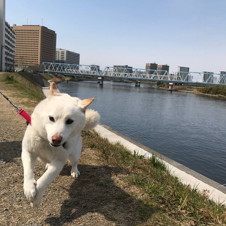 5c2ad62d 676e 48de a6dc 90f4fdef1ddd