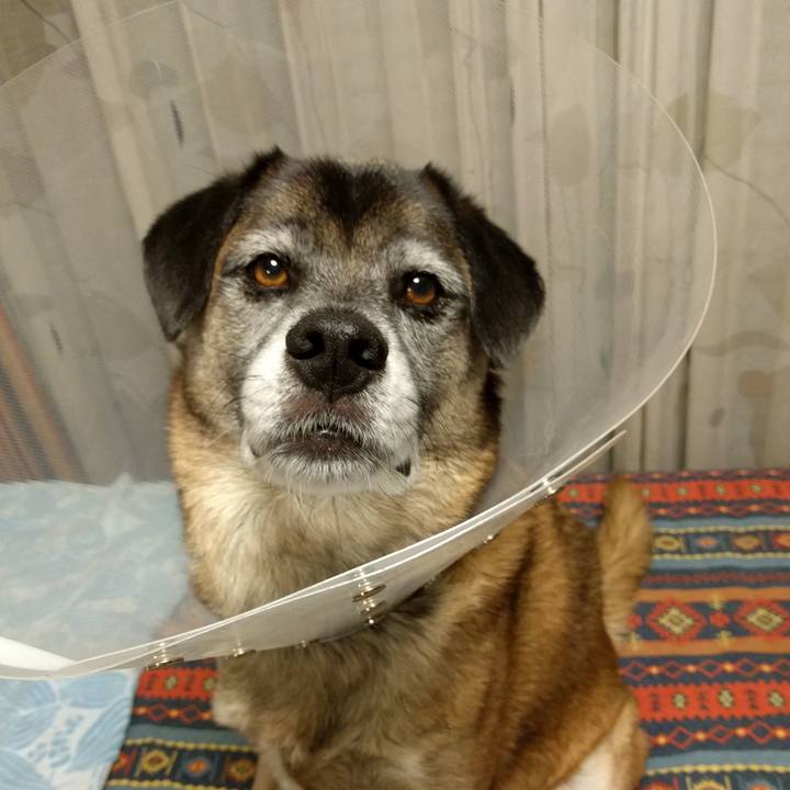 5c2b33cf 6924 42cf a8eb 54483d3447b4