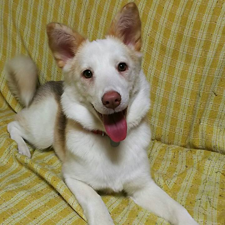 5c2c2a19 e3a5 4e60 b1da 8b6e3efae71e