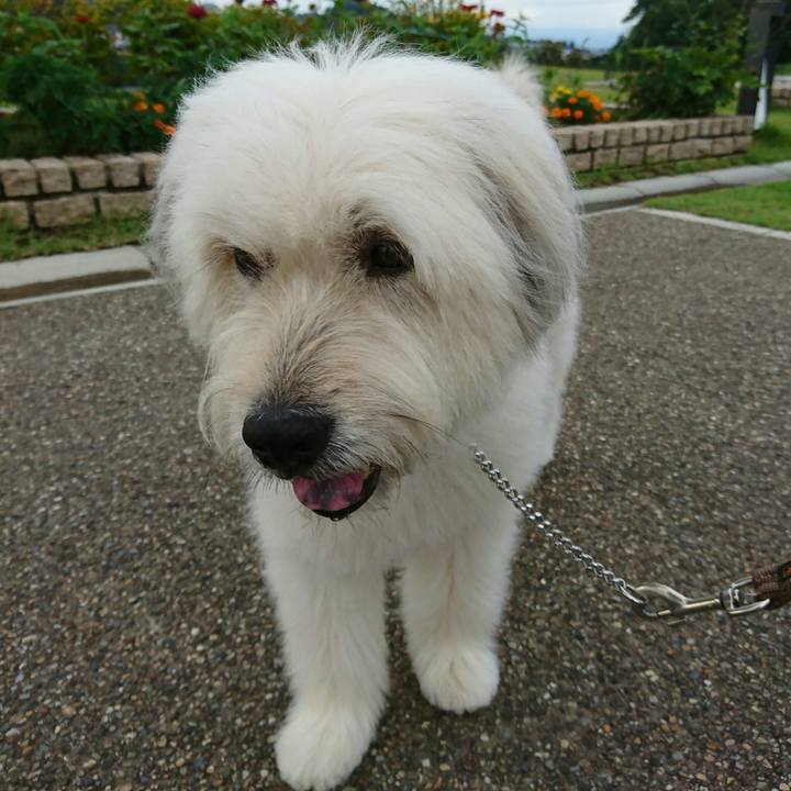 5c2cad73 5dd9 485d 93a2 25d0105b7669