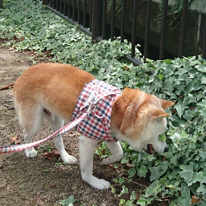 5c2cb70e 54e7 408b 8840 5ed0b2802f60