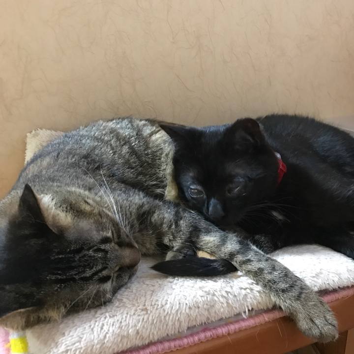 5c2d0c34 4a05 4d61 b177 0225c9a52aca