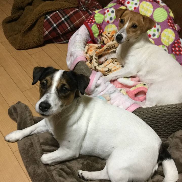 5c2d2505 a847 4995 937b 6ed0d937cb5e