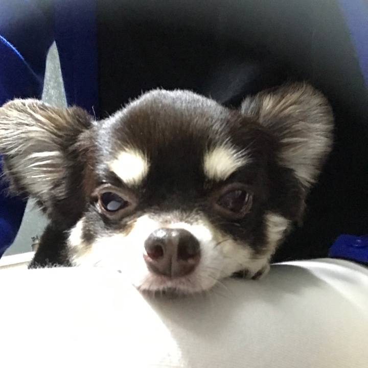 5c2d6321 04c4 4b2f 8be1 6532b8cad615