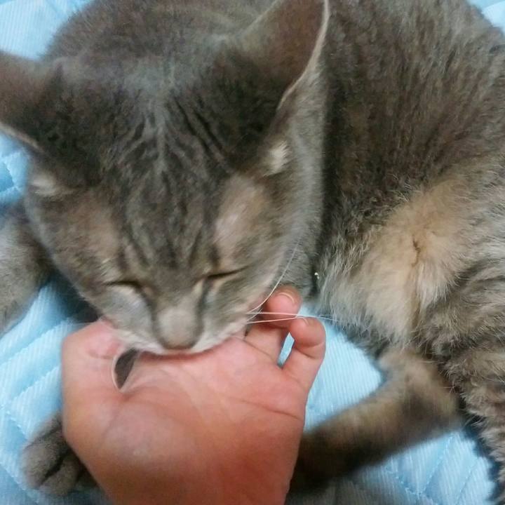 5c2da60d 0104 40fb a491 bd3b24e021d6