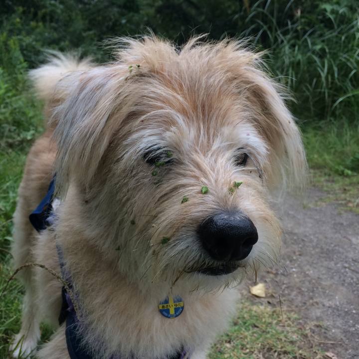 5c2da8b0 78df 445a a70f fecc51e81bad