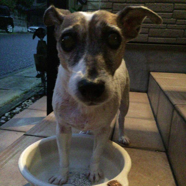 5c2dc82f 7538 44ef a113 dd975602cdf0