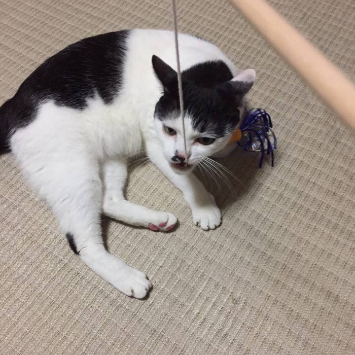 5c2e1a2d 69c0 4322 985a c0d534276b53