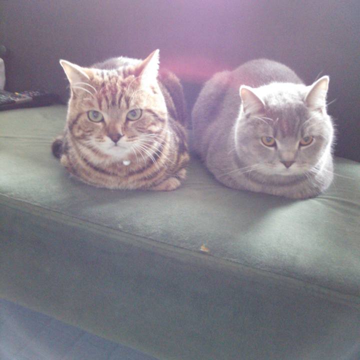 5c2e3415 290d 42c1 b0a4 aee90687ac67