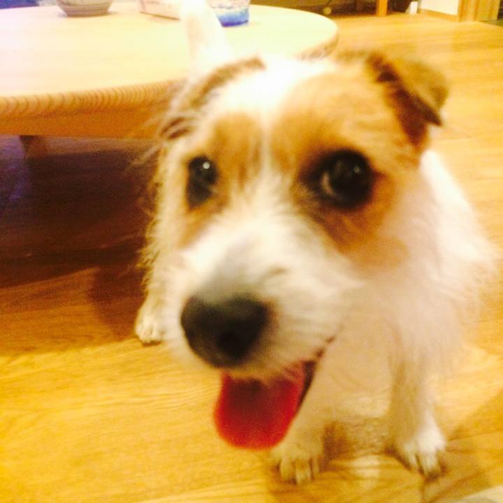 5c2edd1c 8380 477d b4b7 fd8b9241c9c9