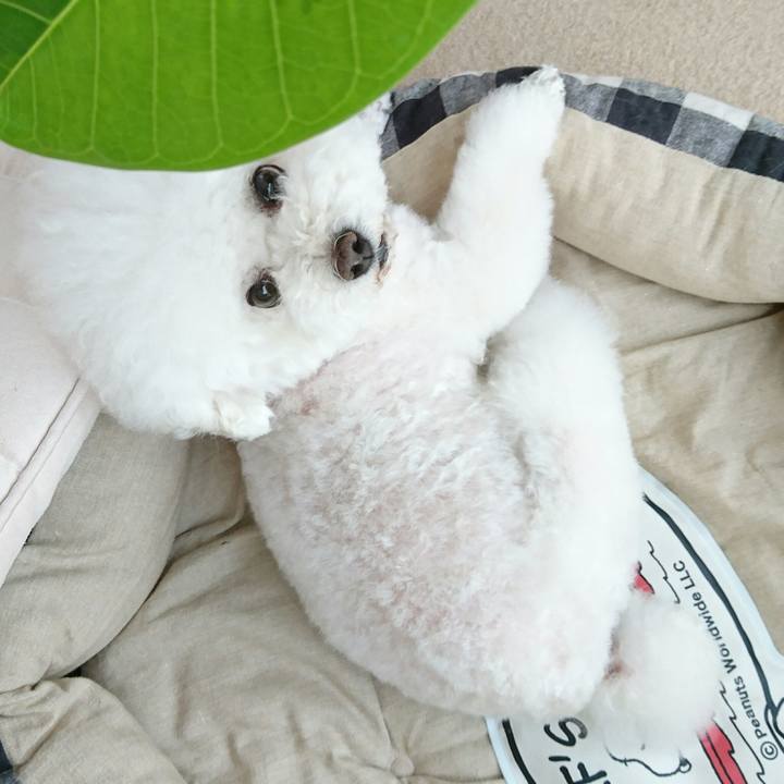 5c2f0db6 efaf 437b 8396 81dfb6197149