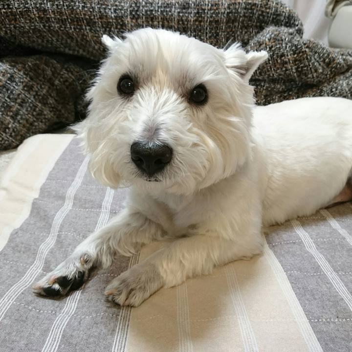 5c2f4331 643c 484b 8905 a8198710d864