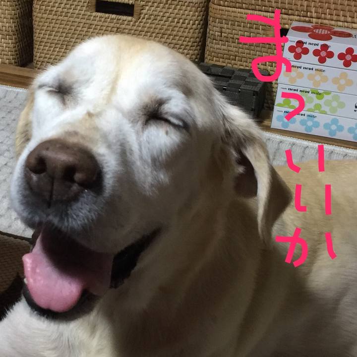 5c2fcf4e c13c 4350 b3b5 e14f846b2717