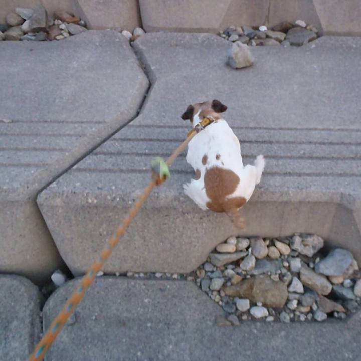 5c2fd61d 7389 4d74 b017 f6c50921abb1