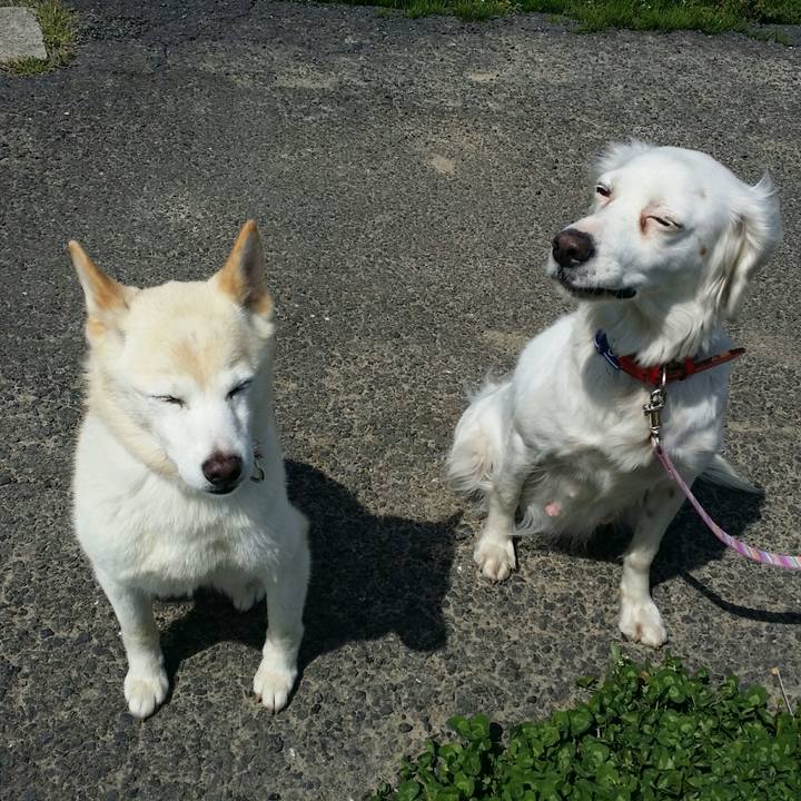 5c2fe623 3175 45df 8c2a afc8eea44edd