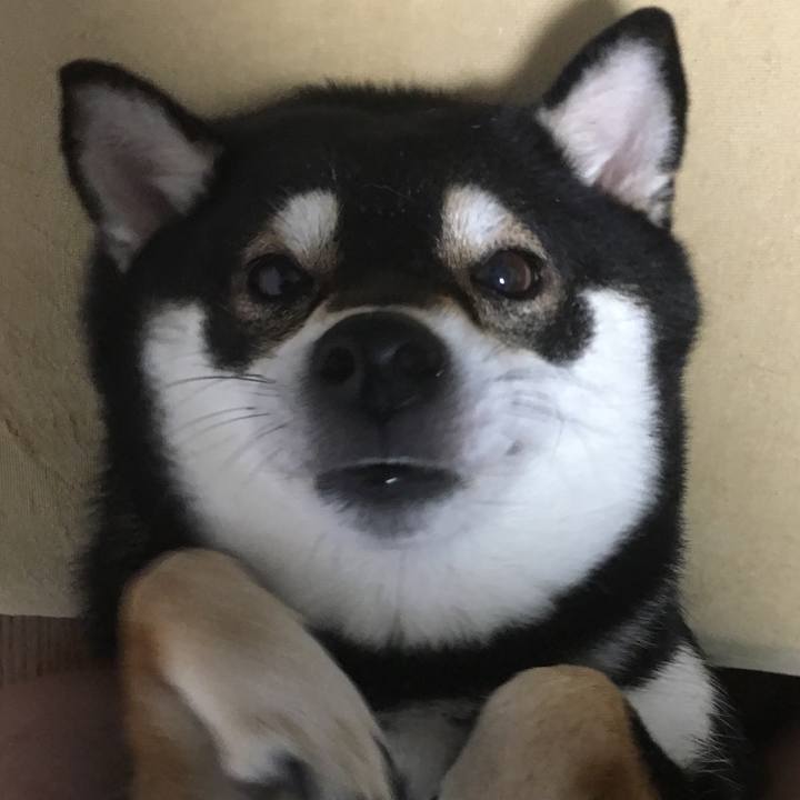 5c30544f 512b 4088 b65d c5318dde8070