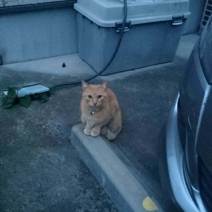 5c3065df 9de6 488e 9ce1 76b6b1af3d7a