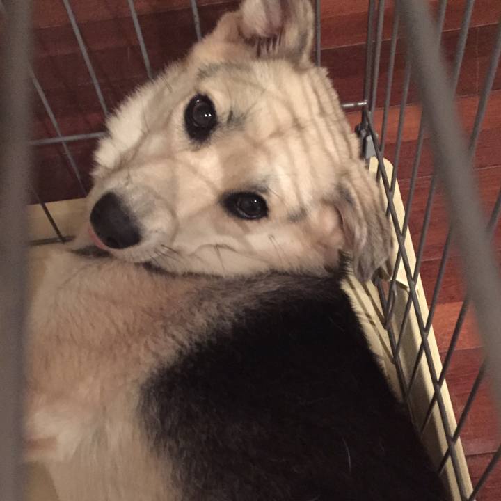 5c308866 1fc3 420a 89ba b77492d8b0e5