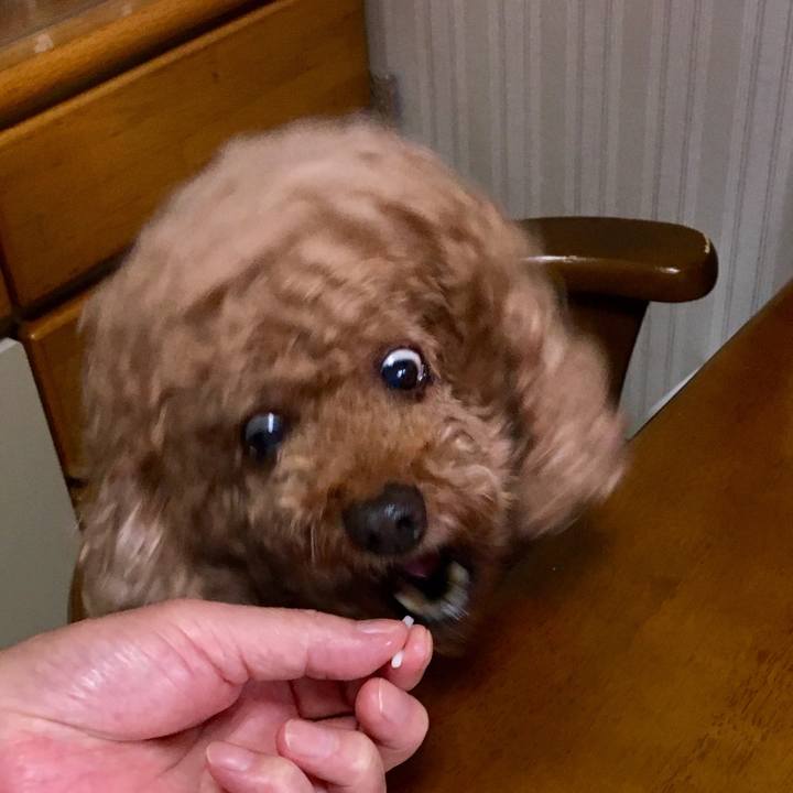 5c30da27 33fa 434d af5c 8757304bd416