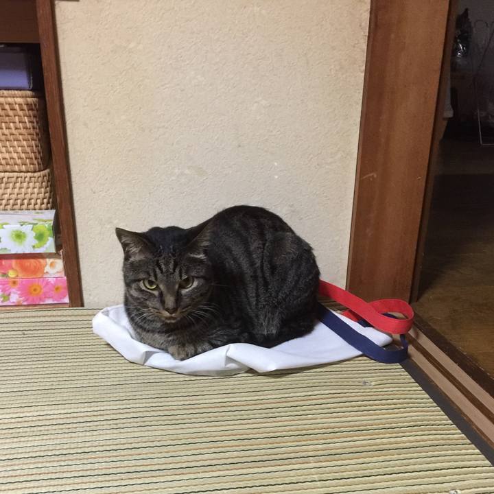 5c310662 4eea 41c7 93c5 ac397e4c4223