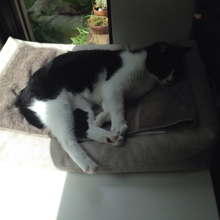 5c3113dd 2f1d 4854 831d 5f2f9b2d89a9