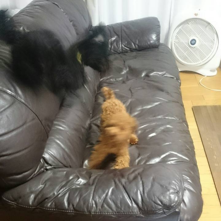 5c312bab 74ff 44a2 9490 bda77af1312c